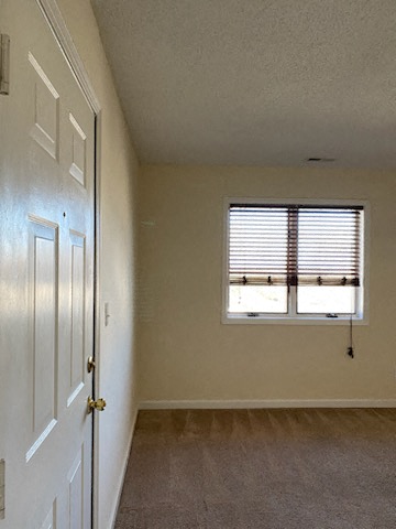 Gallery Photo 21